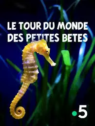 LE TOUR DU MONDE DES PETITES BÊTES