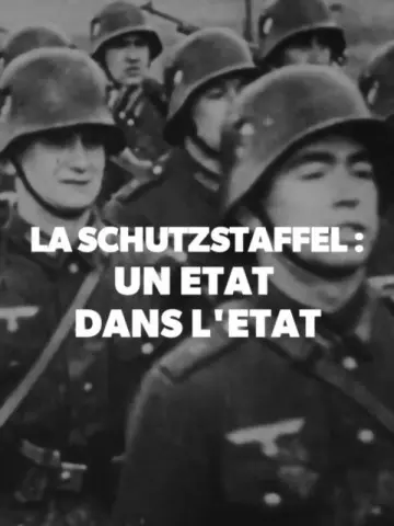 La Schutzstaffel, Un Etat Dans L'Etat