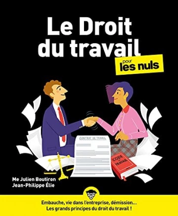 LE DROIT DU TRAVAIL POUR LES NULS - JULIEN BOUTIRON [Livres]