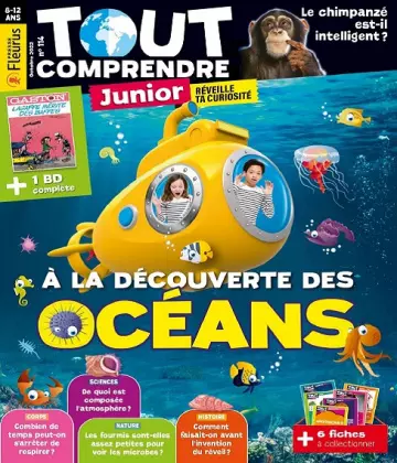 Tout Comprendre Junior N°114 – Octobre 2022 [Magazines]