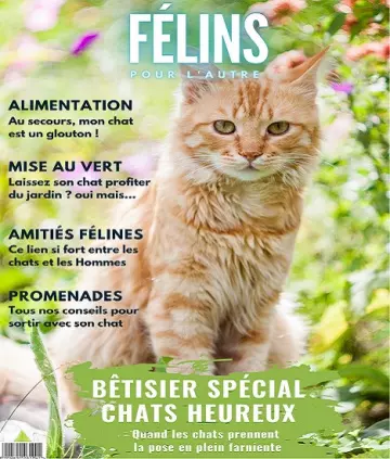 Félins Pour L’autre N°11 – Mai 2022 [Magazines]