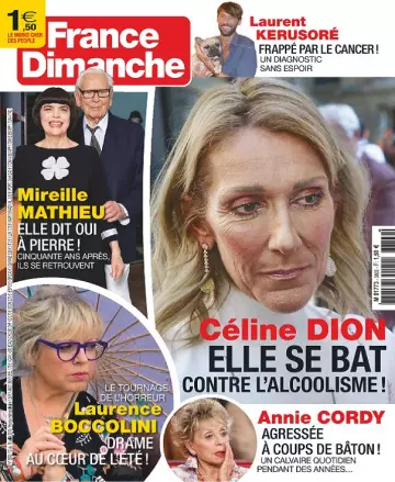 France Dimanche N°3802 Du 12 Juillet 2019 [Magazines]