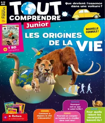 Tout Comprendre Junior N°102 – Octobre 2021 [Magazines]