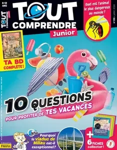 Tout Comprendre Junior - Juillet 2024 [Magazines]