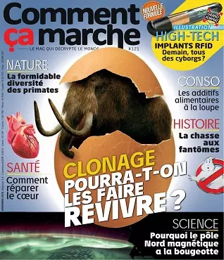 Comment Ça Marche N°121 – Novembre 2020 [Magazines]