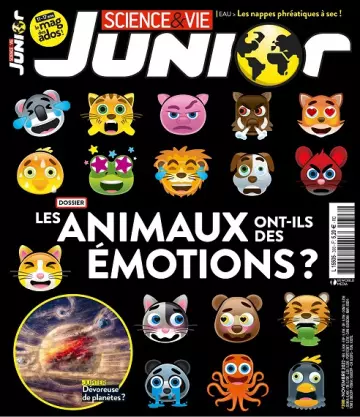 Science et Vie Junior N°398 – Novembre 2022 [Magazines]