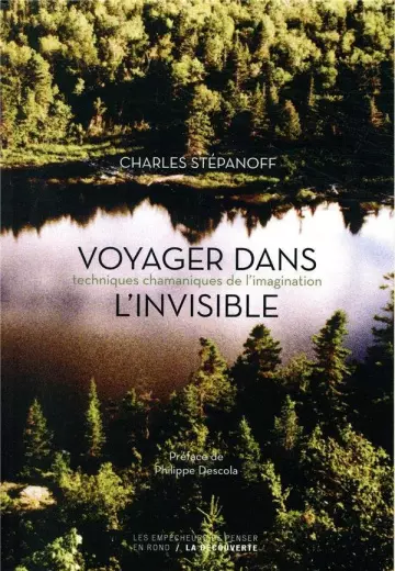 VOYAGER DANS L'INVISIBLE ; TECHNIQUES CHAMANIQUES DE L'IMAGINATION - CHARLES STEPANOFF [Livres]