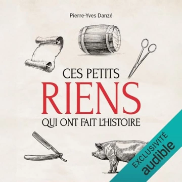 Ces petits riens qui ont fait l'histoire   Pierre-Yves Danze [AudioBooks]