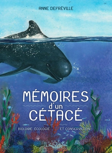 Mémoires d'un cétacé [BD]