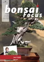 Bonsaï Focus - Mars/Avril 2018 (No. 98) [Magazines]