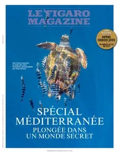 Le Figaro Magazine - 19 Juillet 2024 [Magazines]