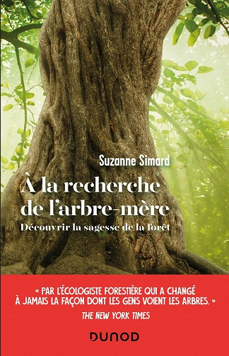 À LA RECHERCHE DE L'ARBRE-MÈRE SUZANNE SIMARD [Livres]