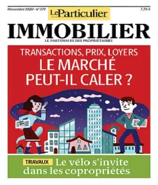 Le Particulier Immobilier N°379 – Novembre 2020  [Magazines]