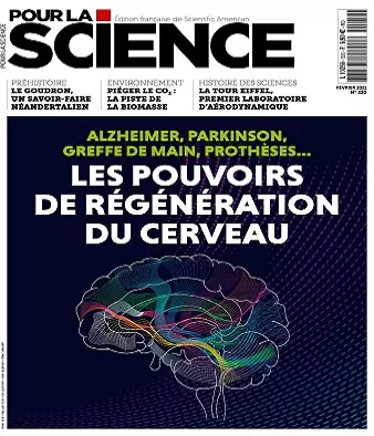 Pour La Science N°520 – Février 2021 [Magazines]