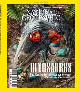 National Geographic N°254 – Novembre 2020 [Magazines]