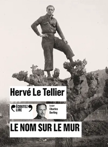 Le nom sur le mur Hervé Le Tellier [AudioBooks]