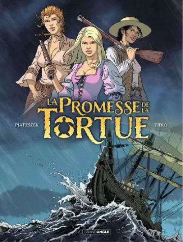 La promesse de la tortue Tomes 1 à 3 [BD]