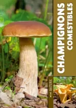 Champignons comestibles [Livres]