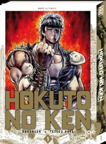 Hokuto no Ken - Deluxe T01 à T14 [Mangas]