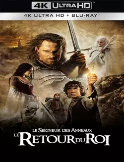 Le Seigneur des anneaux : le retour du roi [BLURAY REMUX 4K] - MULTI (FRENCH)