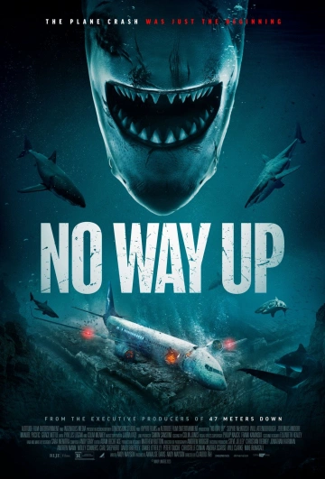 No Way Up [WEB-DL 1080p] - MULTI (FRENCH)