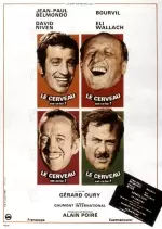 Le Cerveau [Dvdrip XviD] - FRENCH