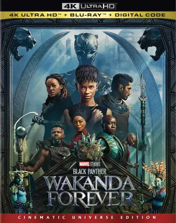 Black Panther : Wakanda Forever  [BLURAY REMUX 4K] - MULTI (TRUEFRENCH)