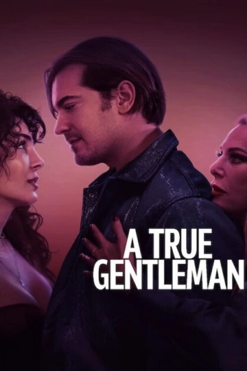 Un Parfait Gentleman [WEBRIP] - FRENCH