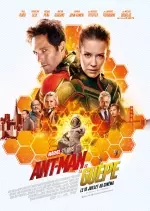 Ant-Man et la Guêpe  [TS MD] - MULTI (TRUEFRENCH)