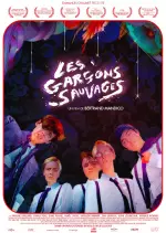 Les Garçons sauvages [BDRIP] - FRENCH