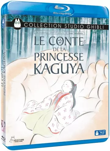 Le Conte de la princesse Kaguya [BLU-RAY 720p] - FRENCH