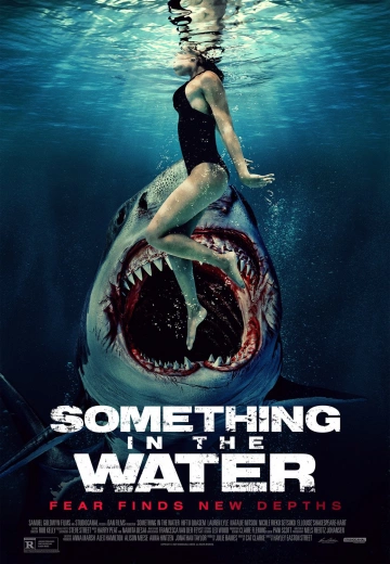 Something In The Water  [WEBRIP] - FRENCH