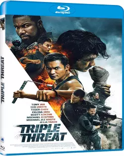 Triple Threat  [HDLIGHT 1080p] - MULTI (FRENCH)