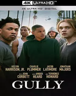 Gully [WEB-DL 4K] - MULTI (FRENCH)