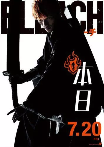 Bleach [BDRIP] - FRENCH