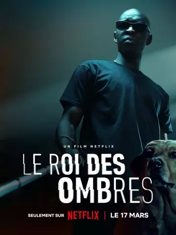 Le Roi des Ombres  [WEBRIP 720p] - FRENCH