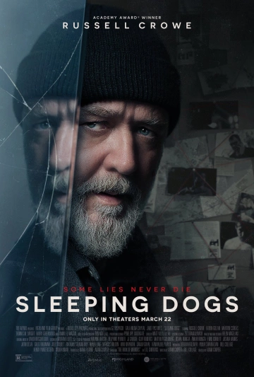 Sleeping Dogs  [HDRIP] - FRENCH