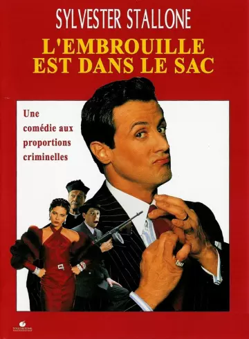 L'Embrouille est dans le sac [WEBRIP] - TRUEFRENCH