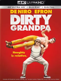 Dirty Papy  [BLURAY REMUX 4K] - MULTI (TRUEFRENCH)