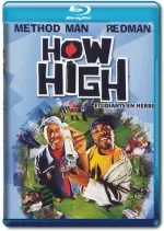 How High  [HDLIGHT 1080p] - MULTI (TRUEFRENCH)