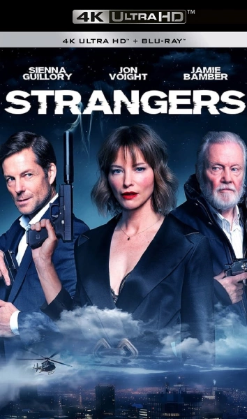 Strangers  [WEB-DL 4K] - MULTI (FRENCH)