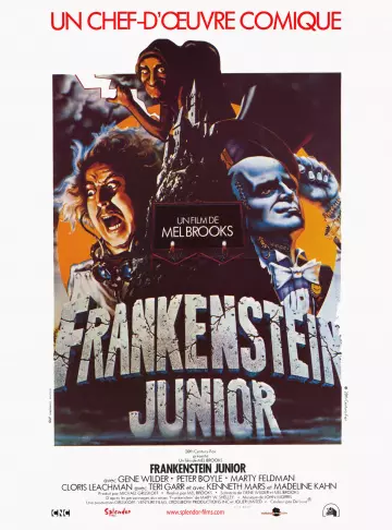 Frankenstein Junior  [HDLIGHT 1080p] - MULTI (TRUEFRENCH)