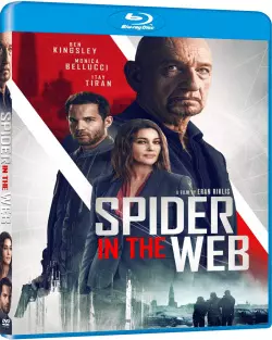 Spider in the Web  [HDLIGHT 720p] - FRENCH