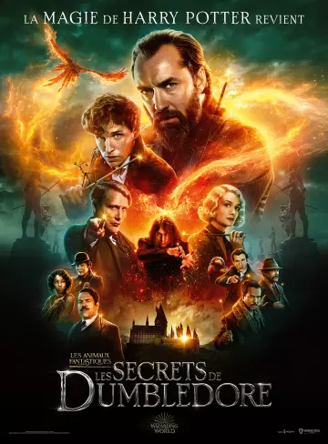 Les Animaux Fantastiques : les Secrets de Dumbledore [HDRIP 1080p] - VO