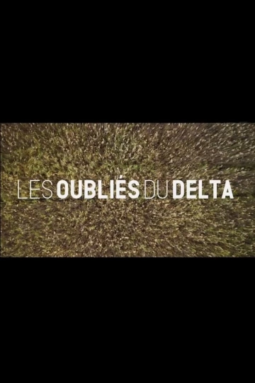 Les Oubliés du Delta  [WEB-DL 1080p] - FRENCH