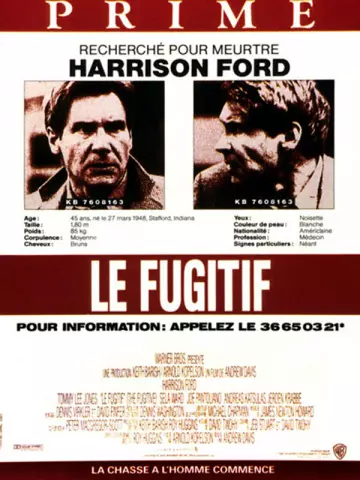 Le Fugitif  [HDLIGHT 1080p] - MULTI (TRUEFRENCH)