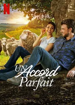 Un accord parfait [WEB-DL 1080p] - MULTI (FRENCH)