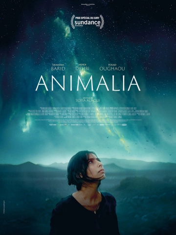 Animalia [WEB-DL 1080p] - VOSTFR