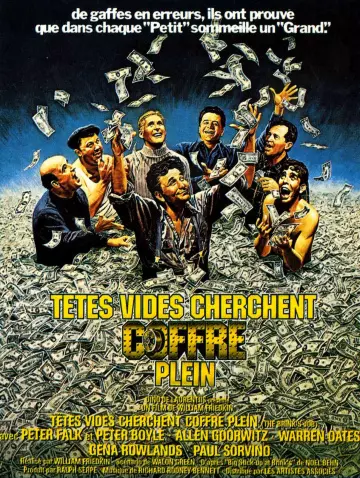 Têtes vides cherchent coffres pleins  [DVDRIP] - TRUEFRENCH