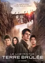 Le Labyrinthe : La Terre brûlée  [BDRIP] - TRUEFRENCH